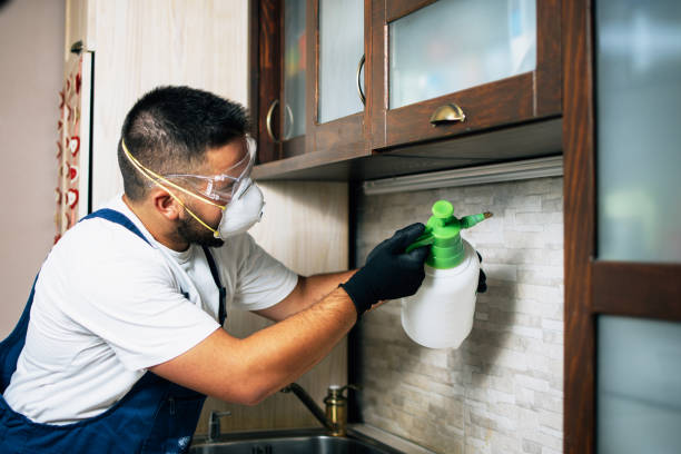 Best Local Pest Control Services  in Hartsdale, NY