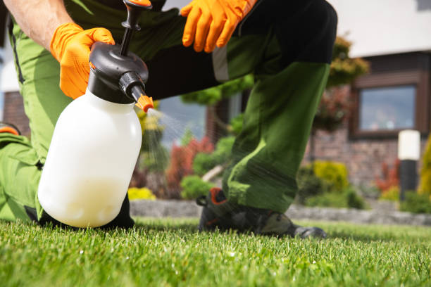 Best Termite Control Services  in Hartsdale, NY