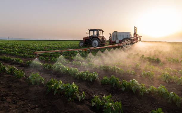 Best Mosquito Control Services  in Hartsdale, NY