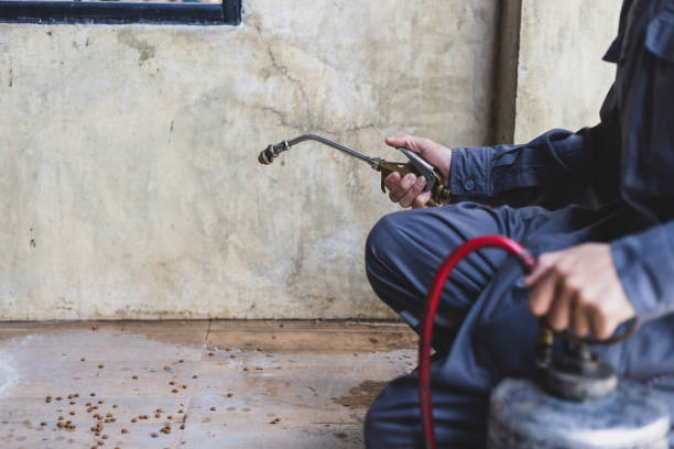 Best Residential Pest Control  in Hartsdale, NY